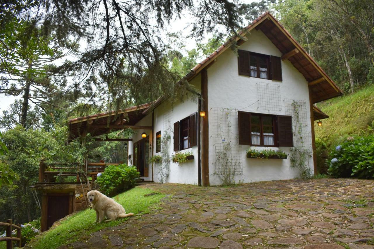 Вилла Chalet Da Hortensias Кунья Экстерьер фото
